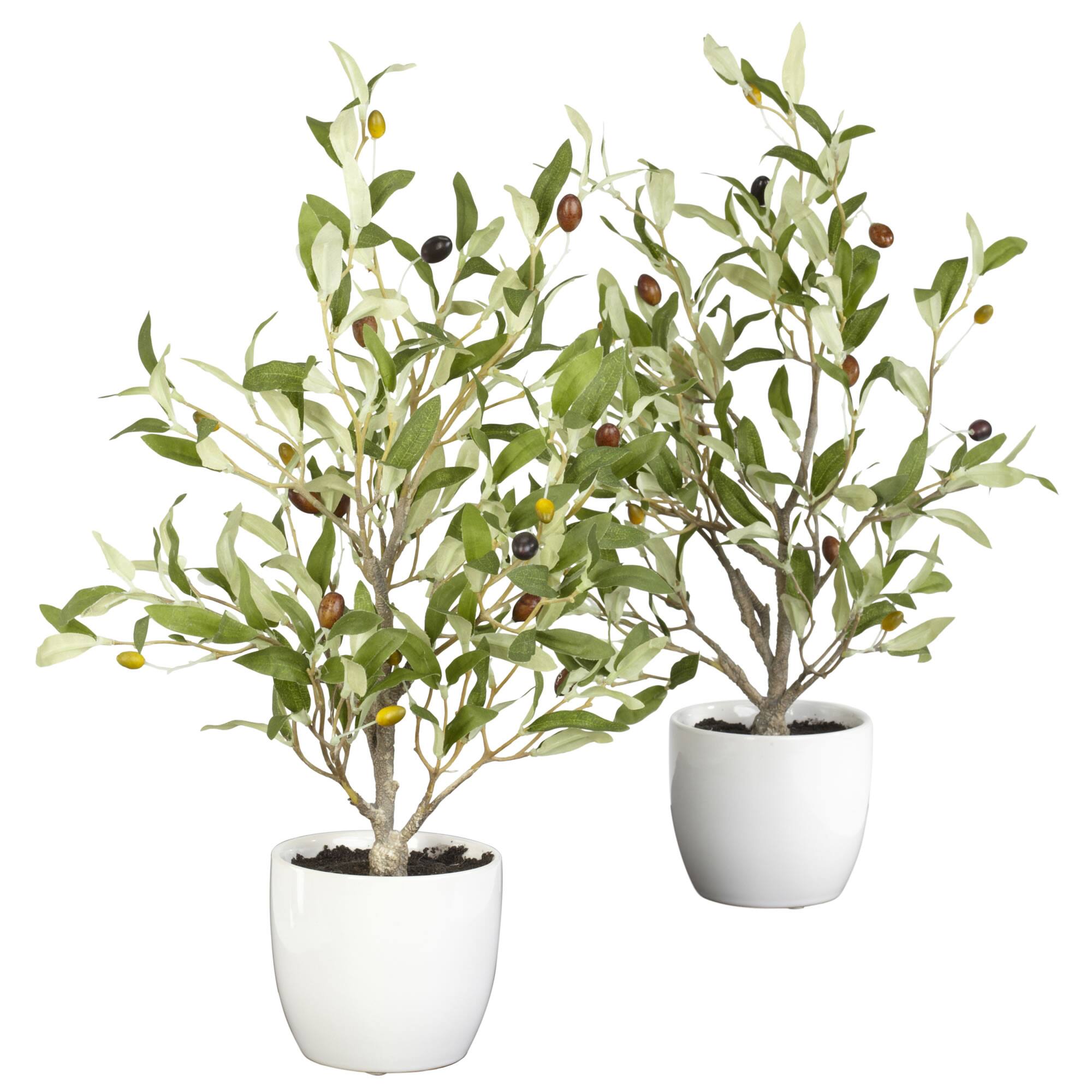 18" Silk Olive Tree with Vase, 2ct.